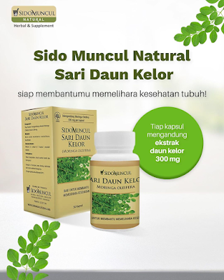 manfaat daun kelor, sido muncul daun kelor, sido muncul natural D-kelor, ekstrak daun kelor, kapsul daun kelor, suplemen daya tahan tubuh